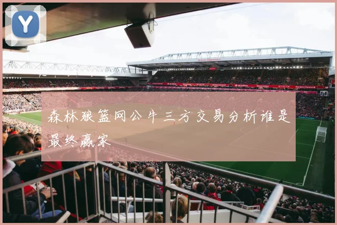 森林狼篮网公牛三方交易分析谁是最终赢家